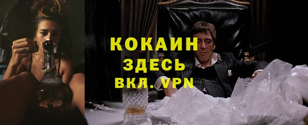 таблы Арсеньев