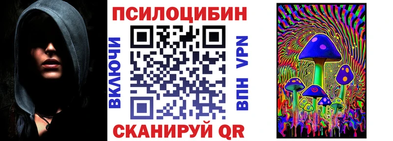 где купить наркотик  Барыш  shop Telegram  Псилоцибиновые грибы Psilocybine cubensis 